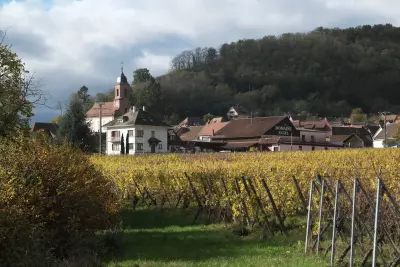 Vignoble Fr&egrave;res ENGEL