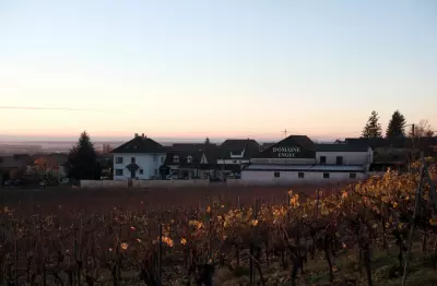 Vignoble Vins ENGEL Ch&acirc;teau du Haut-Koenigsbourg