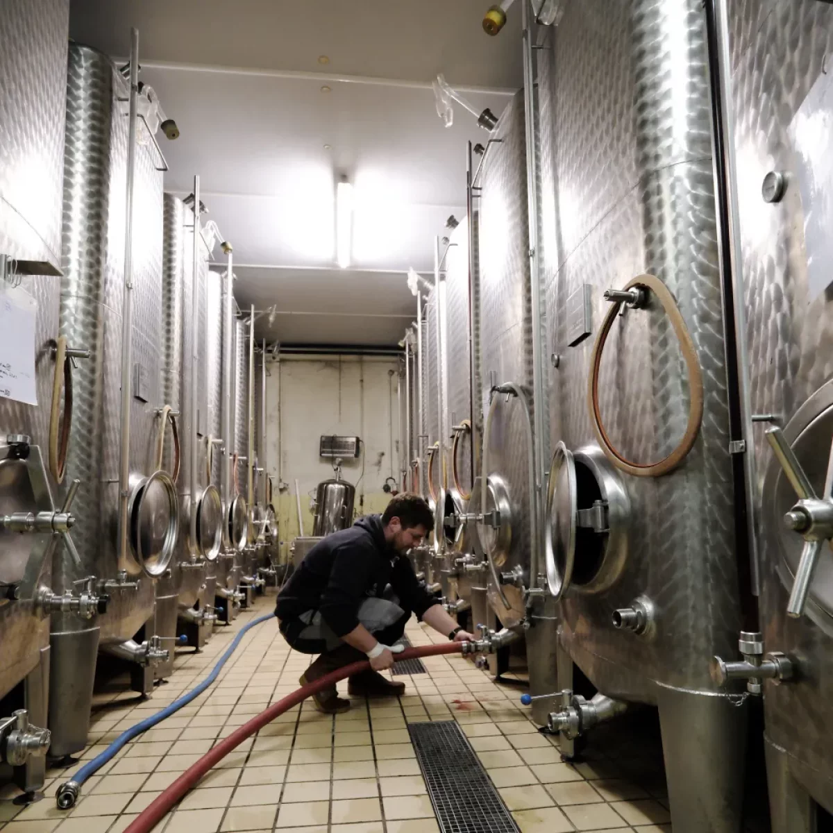 vin alsace engel cuve inox domaine